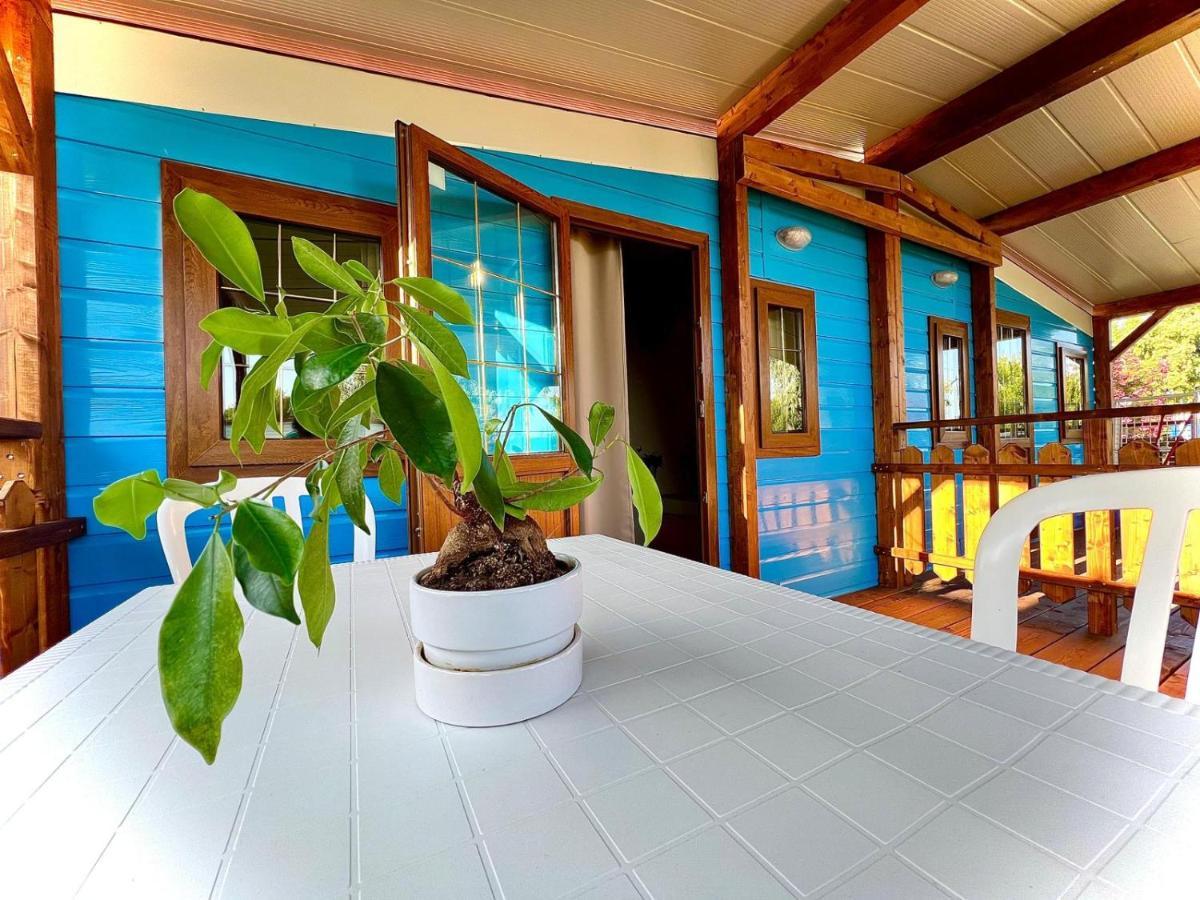 Camping Village Tuscia Tirrenica タルクイーニア エクステリア 写真